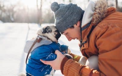 The Hidden Side of Canine Neutering: Risks Your Vet Might Not Mention