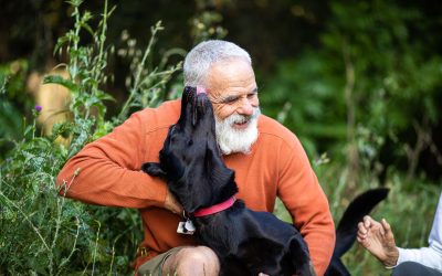Unleashing the Unusual: The Strangest Pet Behaviors and Incidents That Will Leave You Speechless