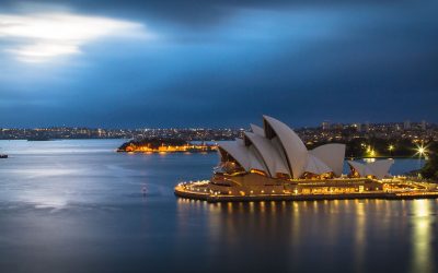 How Much Does It Cost to Ship a Dog or Cat from the U.S. to Australia or New Zealand?