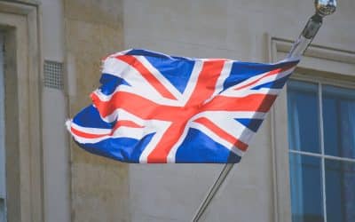 How Much Does It Cost to Ship a Dog or Cat from the U.S. to the United Kingdom?