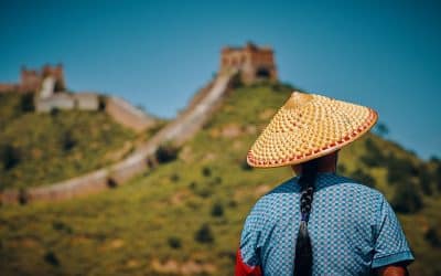 How Much Does It Cost to Ship a Dog or Cat from the U.S. to China?