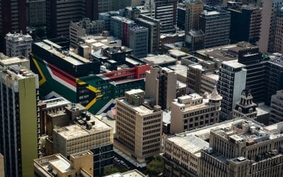 How Much Does It Cost to Ship a Dog or Cat from the U.S. to South Africa?