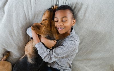 He Doesn’t Need the Bed—He Just Wants to Be Near You