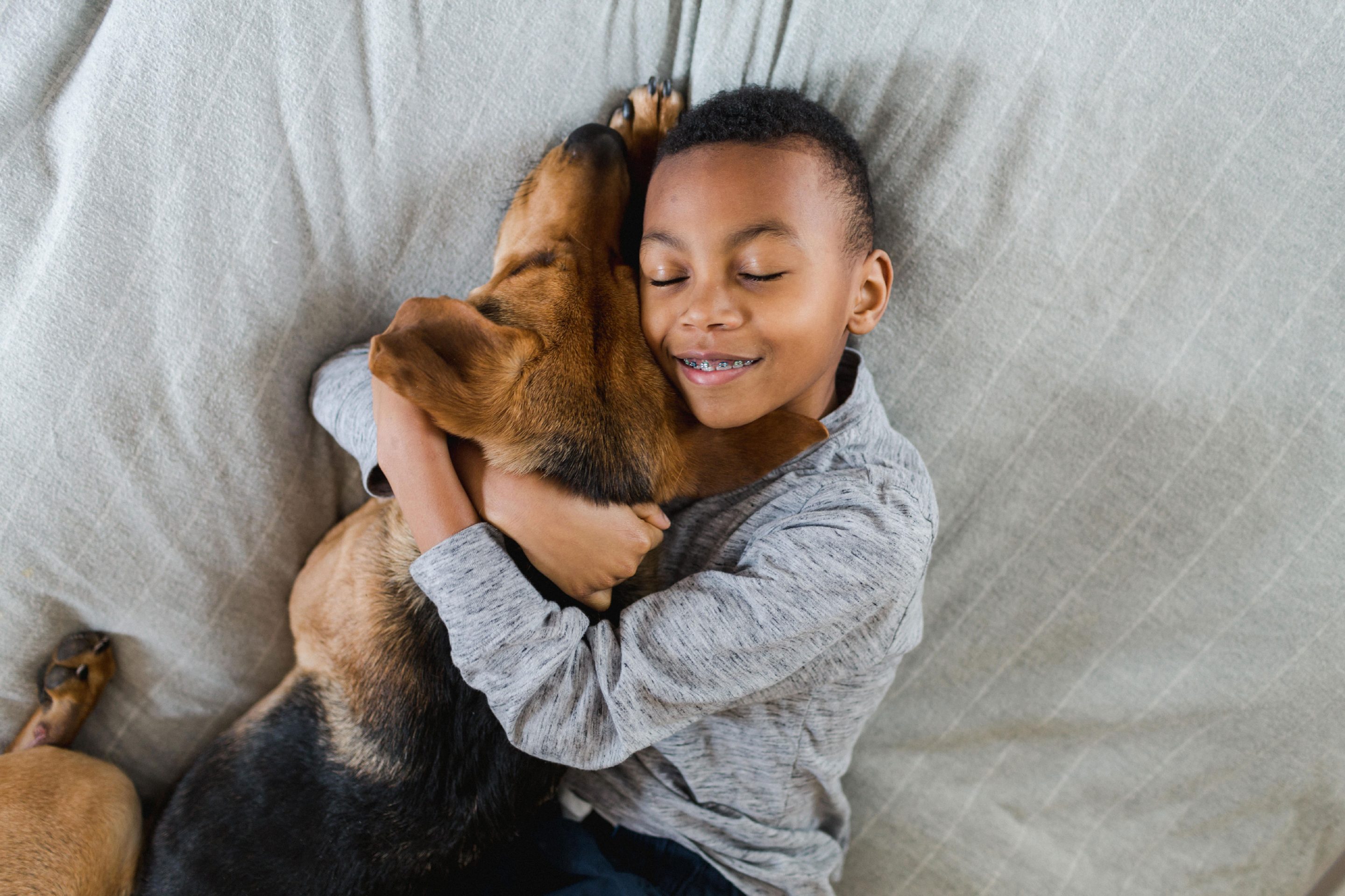 boy-hugging-black-tan-dog-on-bed Boy hugging black tan dog on bed