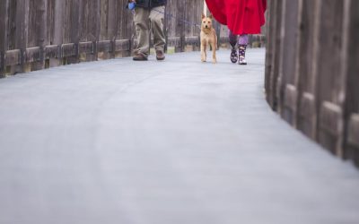A Tight Leash Isn’t a Happy Walk