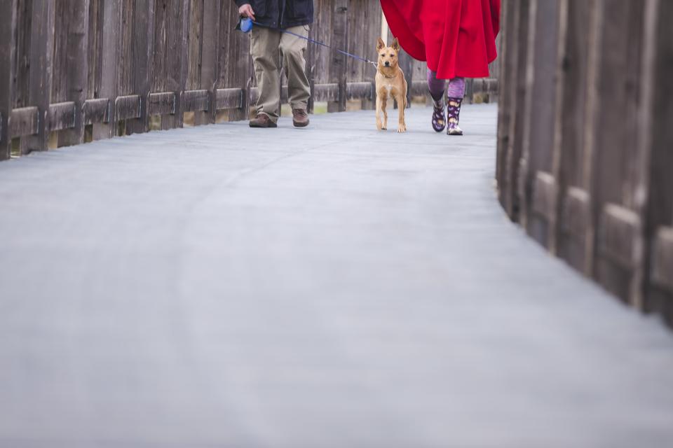 Dog walking on leash with owners on path