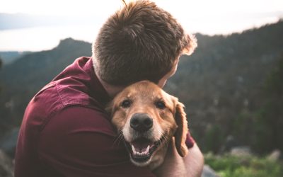 Your Dog Learned How to Live With You a Long Time Ago