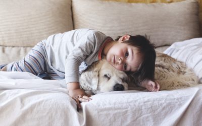When Your Dog Kicks in His Sleep, Don’t Rush to Wake Him