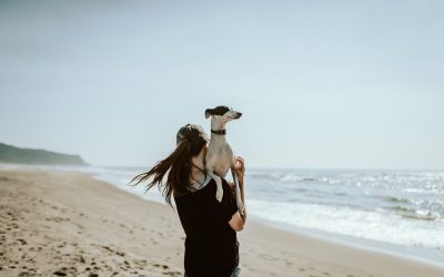 People Who Take Good Care of Their Dogs Usually Don’t Cut Corners in Life