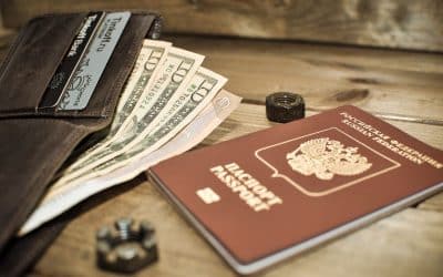 Why Does International Pet Travel Cost So Much?